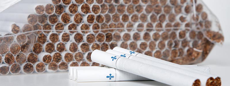 15e anniversaire de la loi 59 : de quoi inspirer Québec pour agir!